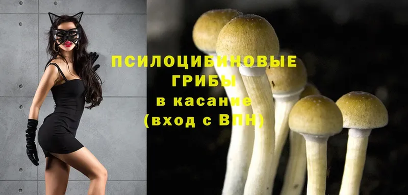 блэк спрут ТОР  Дальнегорск  Галлюциногенные грибы Magic Shrooms 